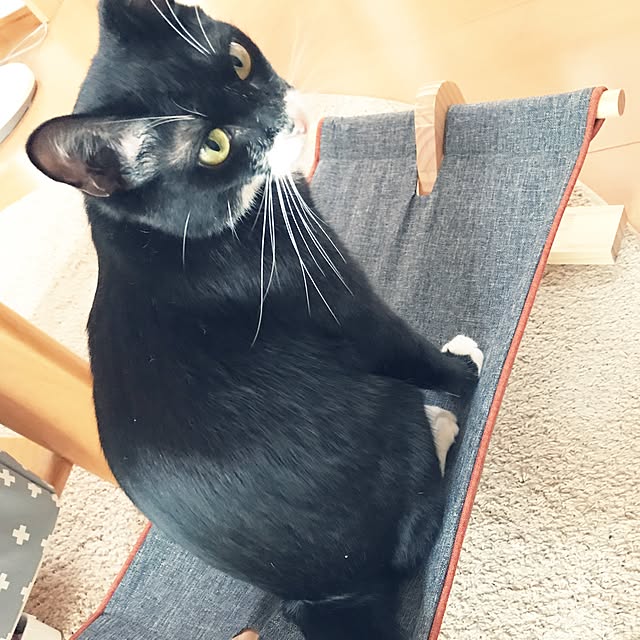 nmさんの実例写真