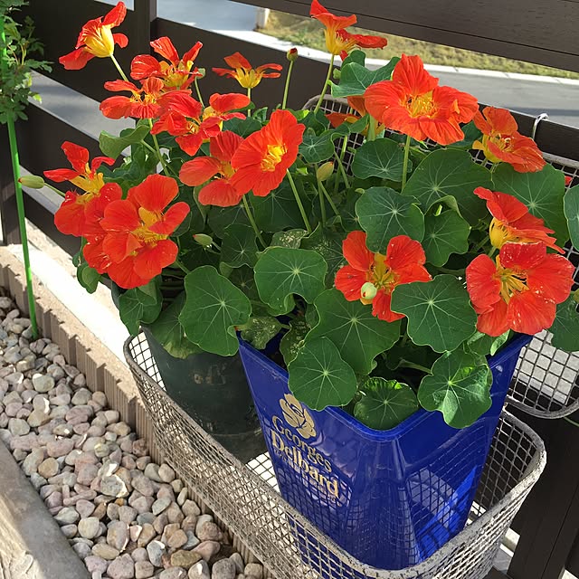 hirokoさんの実例写真