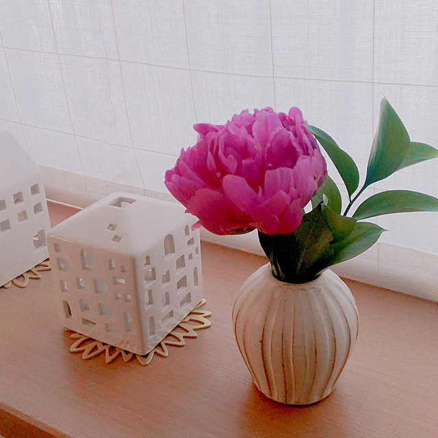 magnoliaさんの実例写真