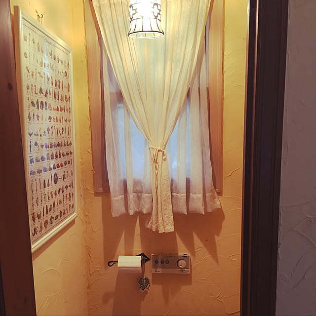 teruppiさんの実例写真