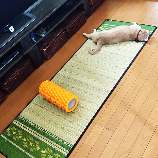 mikan161さんの実例写真