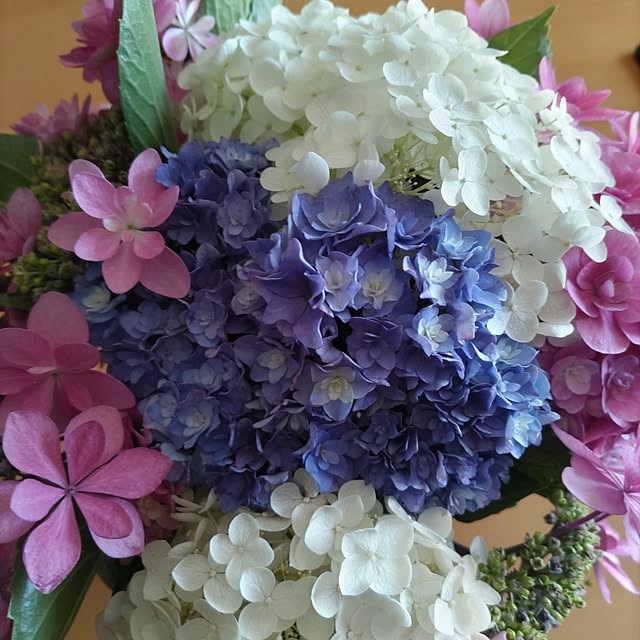 salacocoさんの部屋