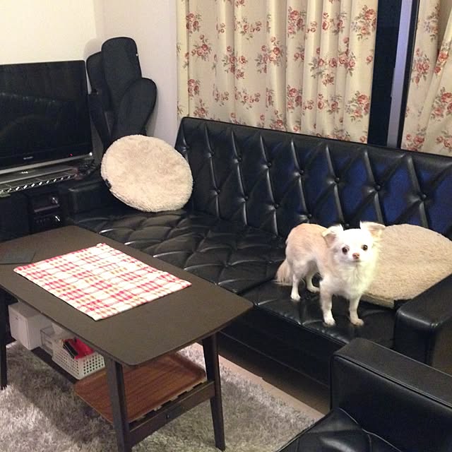 kuri-de-chuさんの実例写真