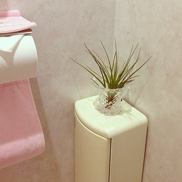 toshiさんの実例写真