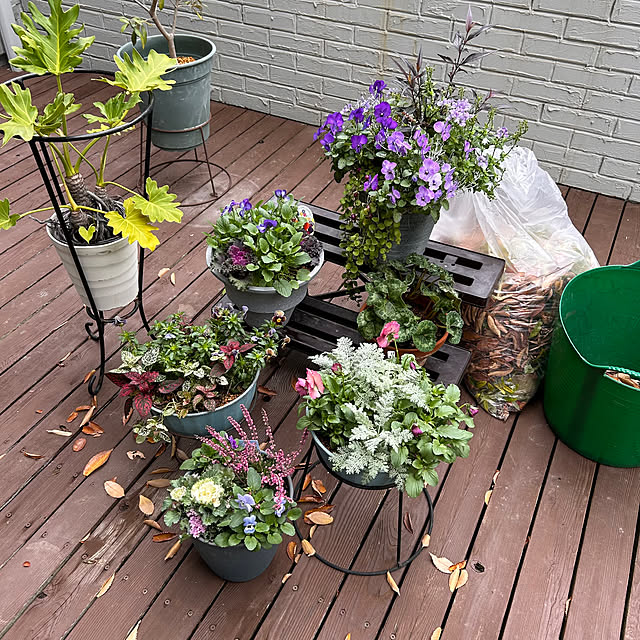 cocoさんの実例写真