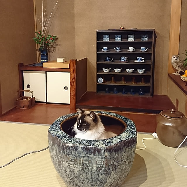畳 火鉢のおすすめ商品とおしゃれな実例 | RoomClip(ルーム 畳 火鉢のおすすめ商品とおしゃれな実例 | RoomClip(ルーム