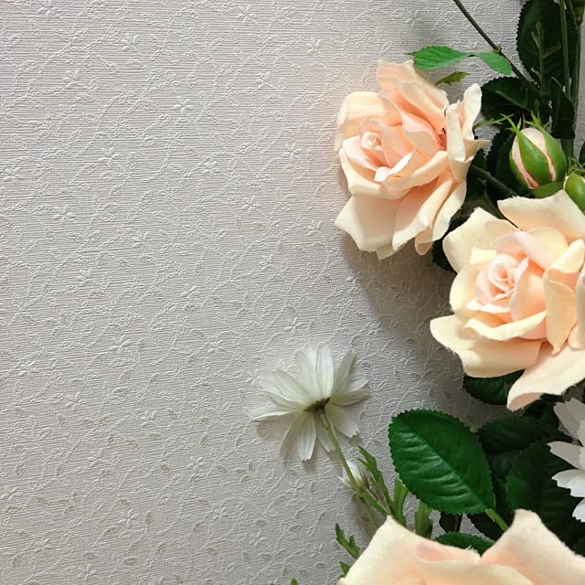 aoさんの実例写真