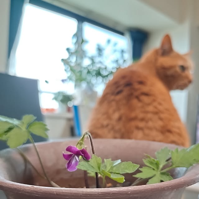 NOAHさんの実例写真