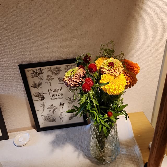 shishishi24koさんの実例写真