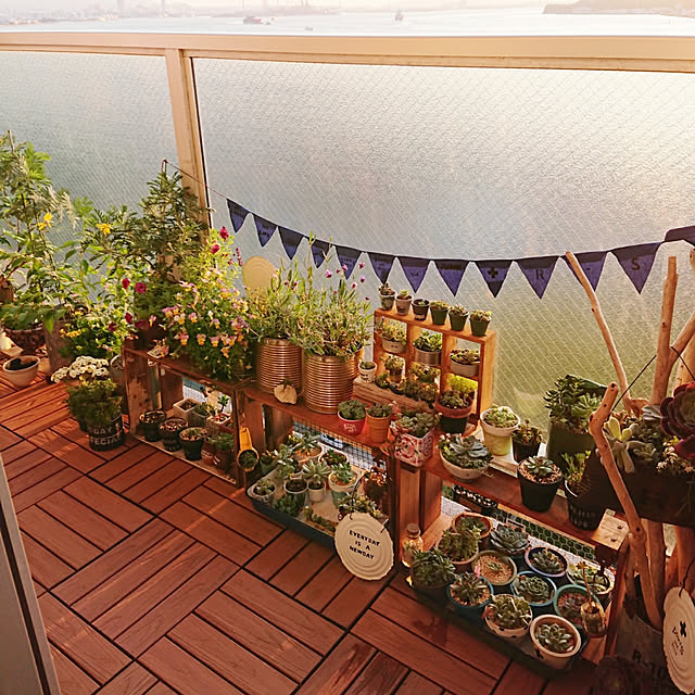 sakusakuさんの実例写真