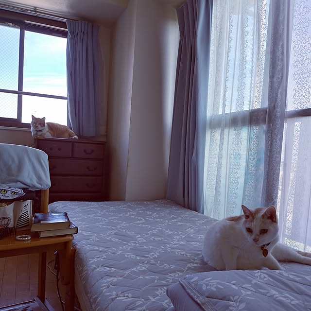 NOAHさんの実例写真