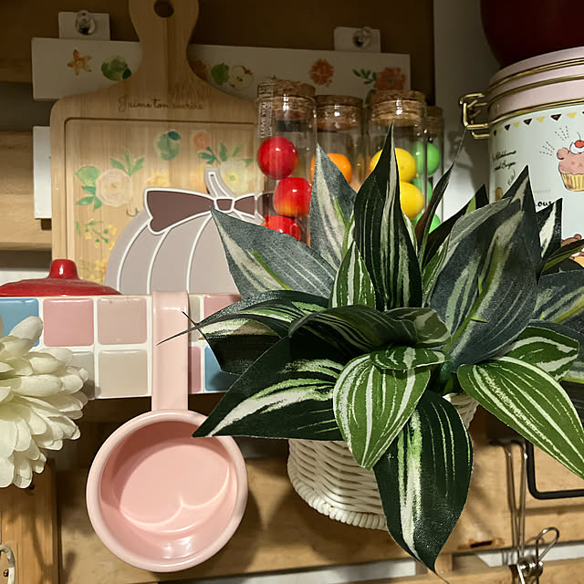 shigetanさんの実例写真