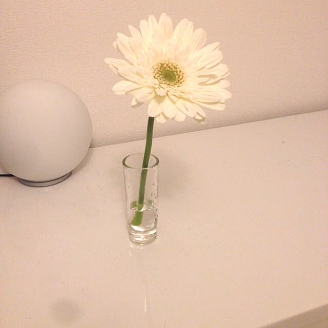 yuzuさんの実例写真