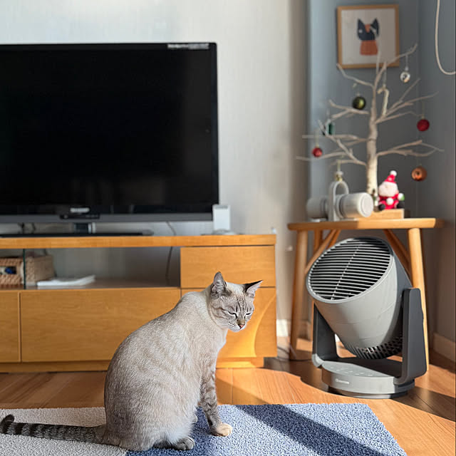 amさんの実例写真