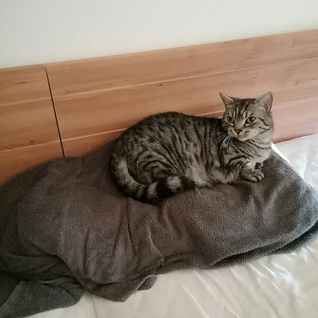 marutinoさんの実例写真