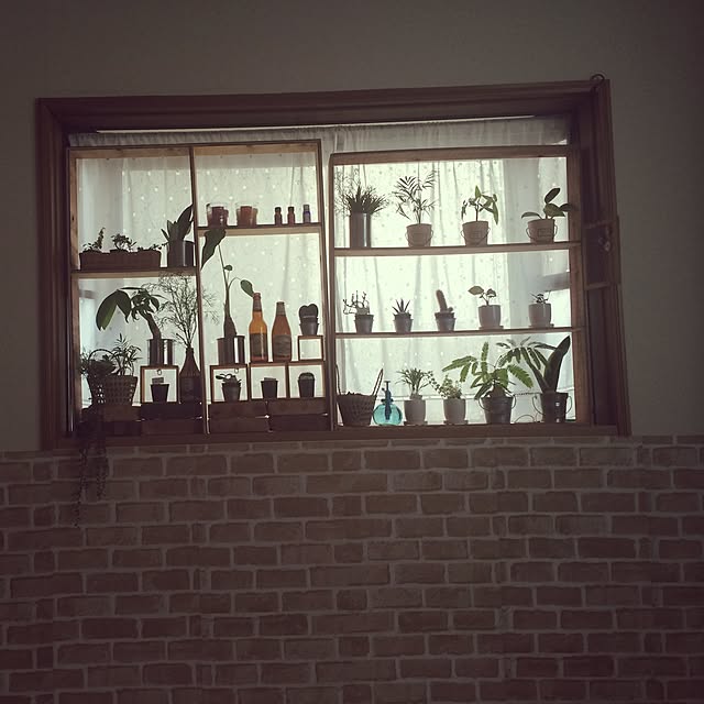 棚/DIY/セリア/100均/雑貨...などのインテリア実例 - 2015-06-23 15:20:48