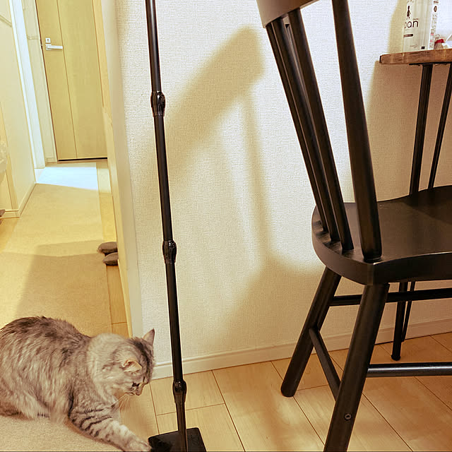 kkkさんの実例写真