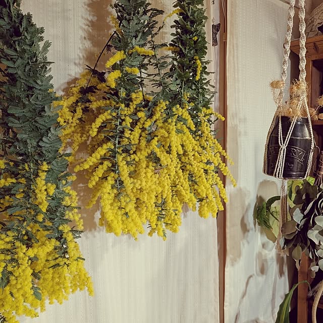 kouheiyuto24623takaさんの実例写真