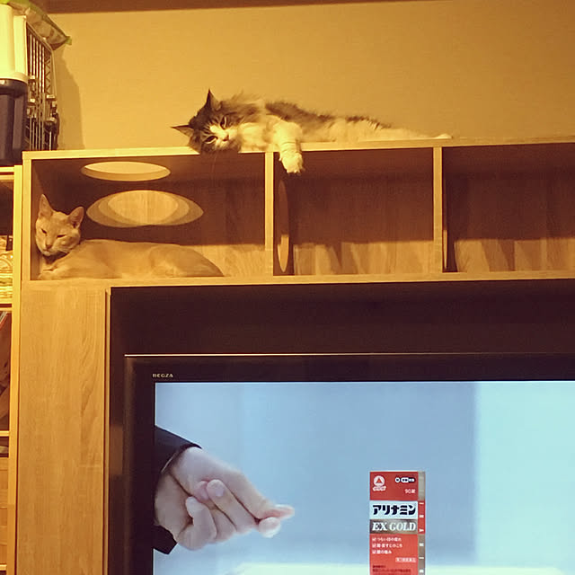 Kamさんの実例写真
