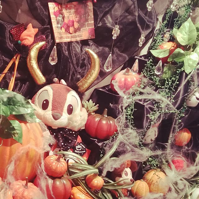 kirakirarieponさんの実例写真