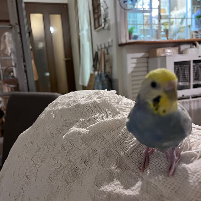 Atsukoさんの部屋