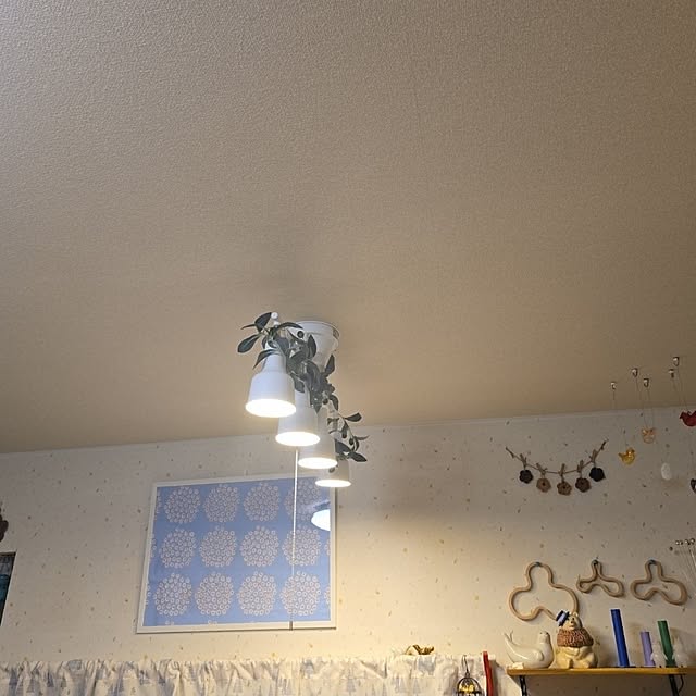nao814さんの実例写真