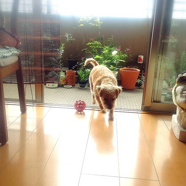 yさんの実例写真
