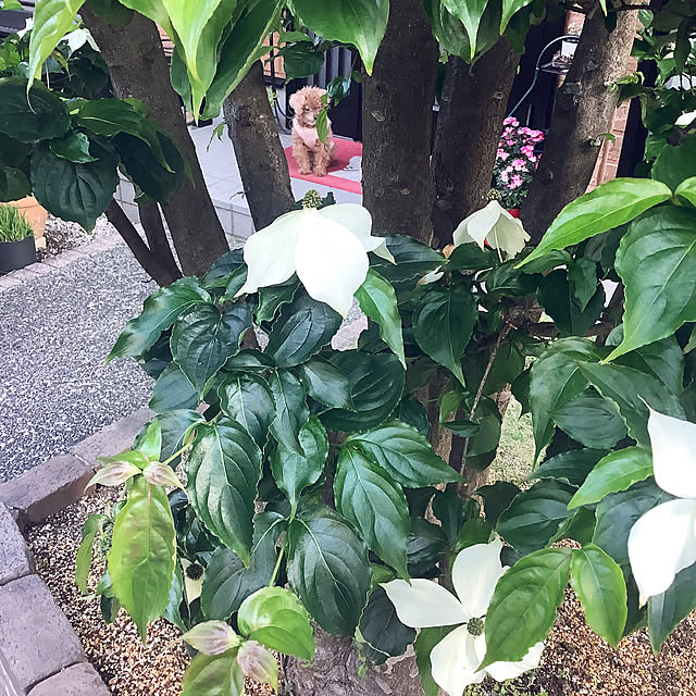 haruminさんの部屋