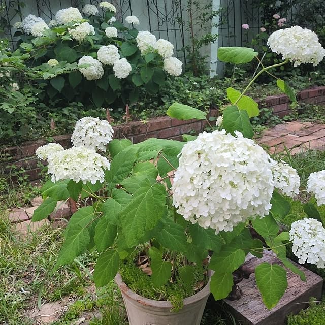 Rさんの部屋