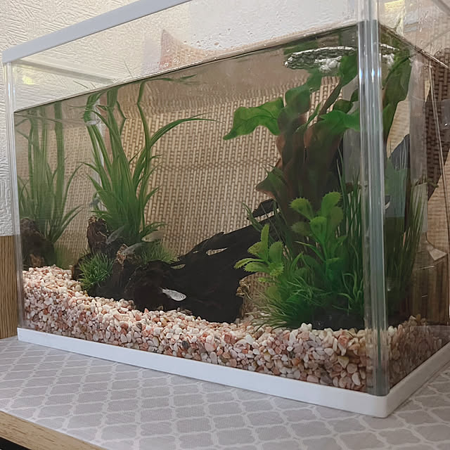 iro.さんの部屋