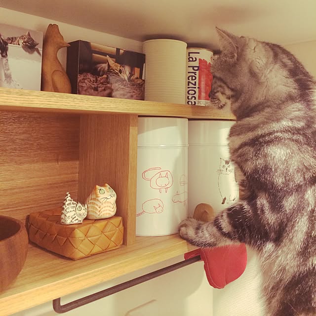 mikomaruさんの実例写真
