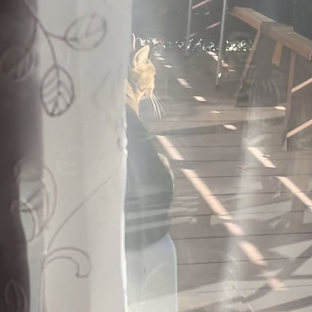 ronronさんの部屋