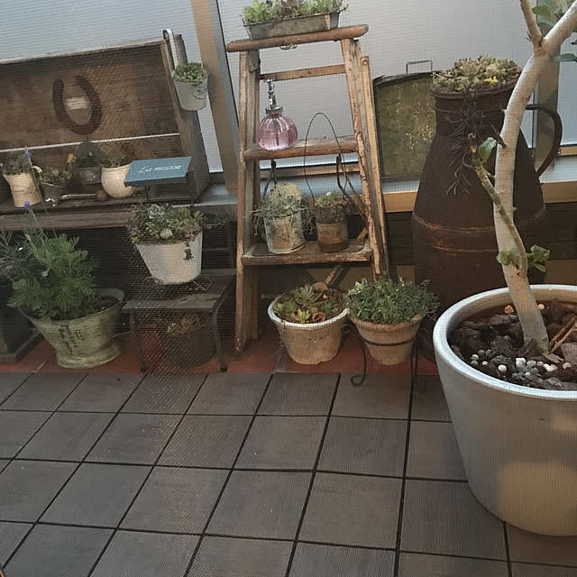 ikukoさんの実例写真