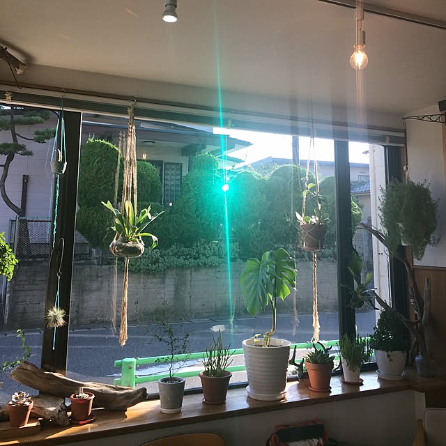 uresikaさんの実例写真