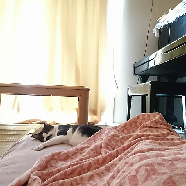 oliveさんの実例写真