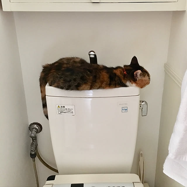 nerogaraginさんの実例写真