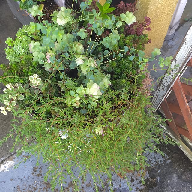 natulove0418さんの実例写真