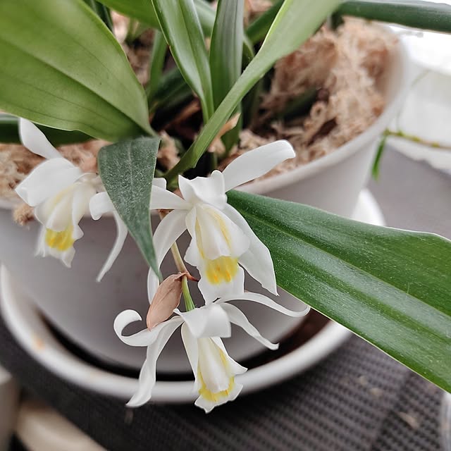 kiraさんの実例写真