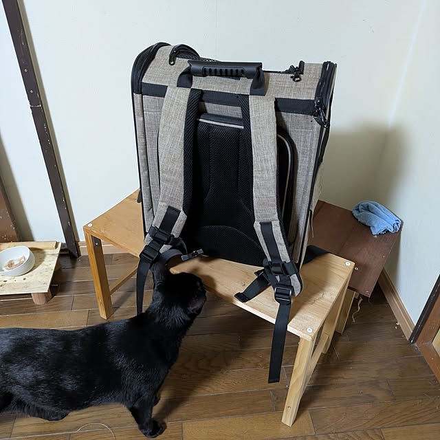 asaさんの部屋