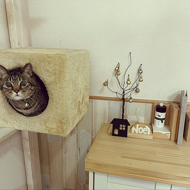 t-famさんの実例写真