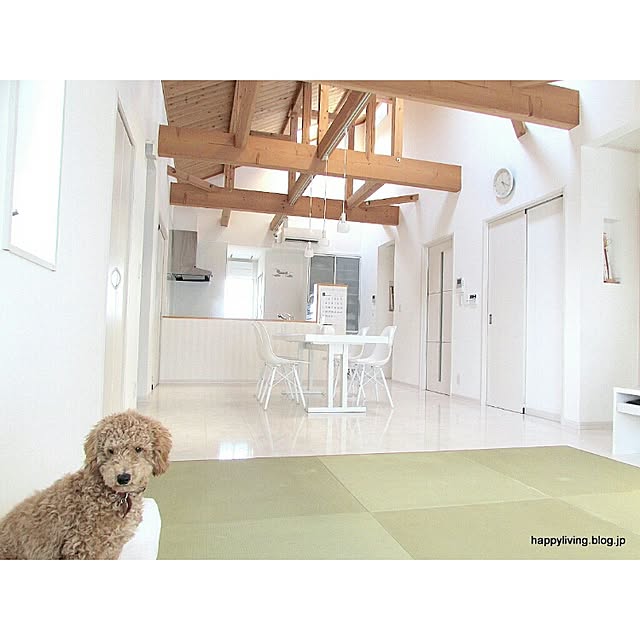 naoさんの実例写真