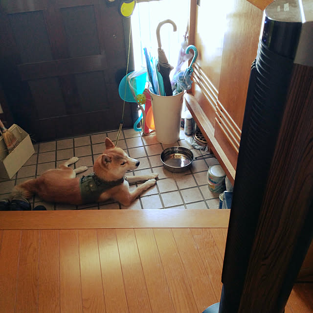 fruityanさんの実例写真