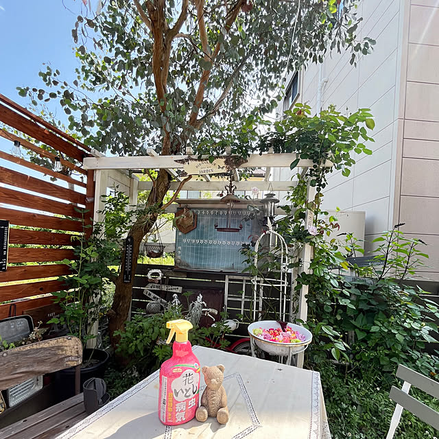 mayumiさんの実例写真