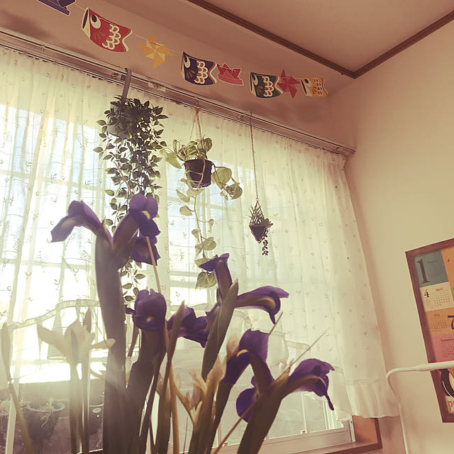 miffyyさんの実例写真