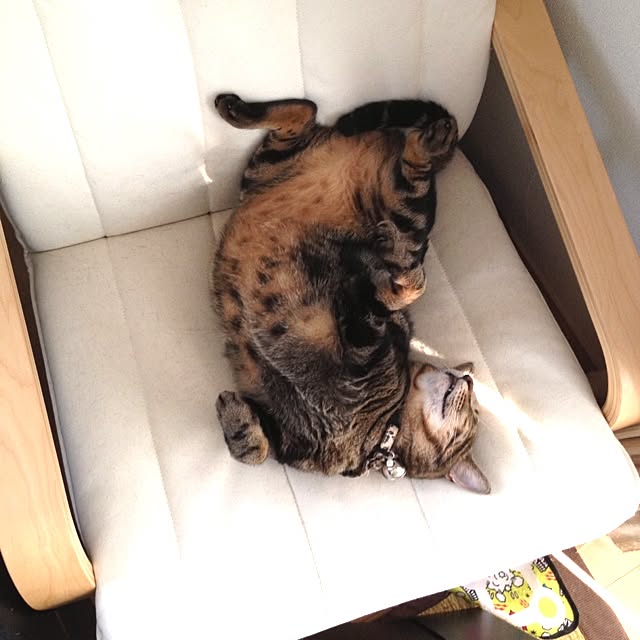 konatsuさんの実例写真