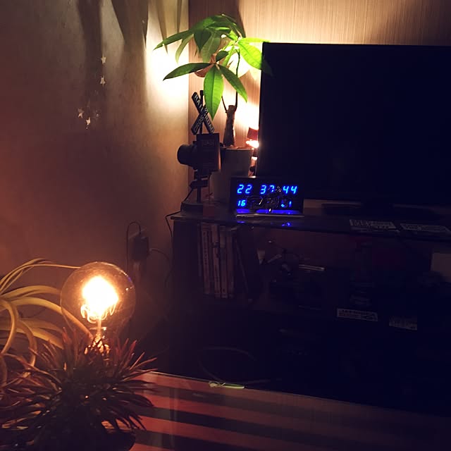 部屋全体/一人暮らし/観葉植物/カフェ風のインテリア実例 - 2016-10-16 22:44:15