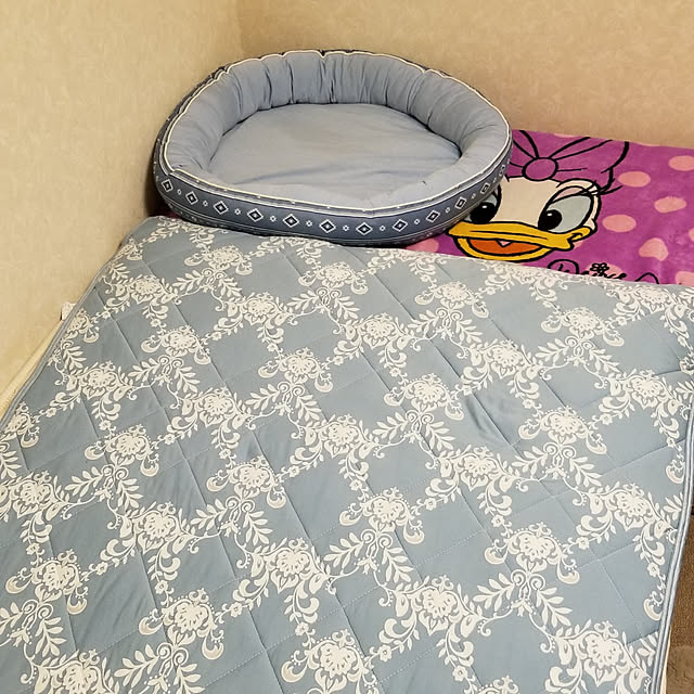 takoさんの実例写真
