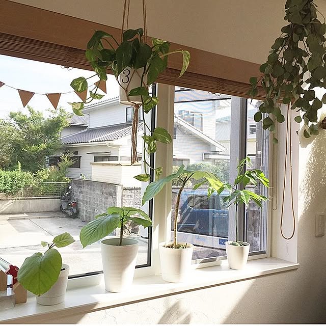 kana_homeさんの実例写真