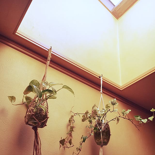 A.HOUSEさんの実例写真