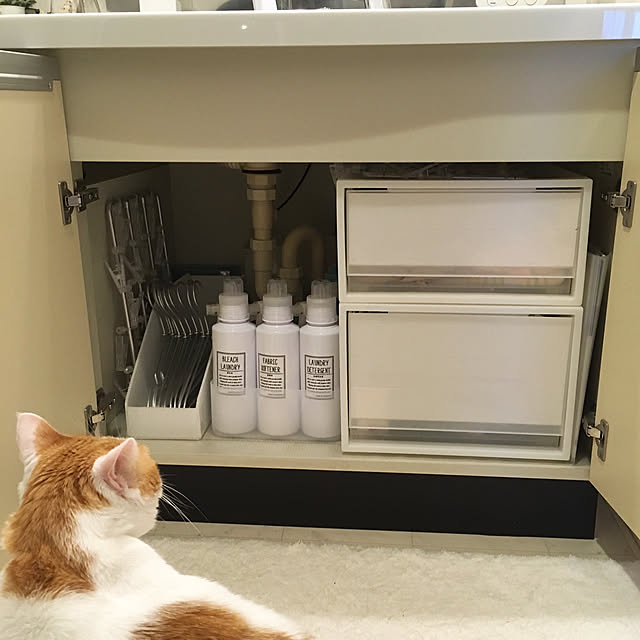 bikkeさんの実例写真